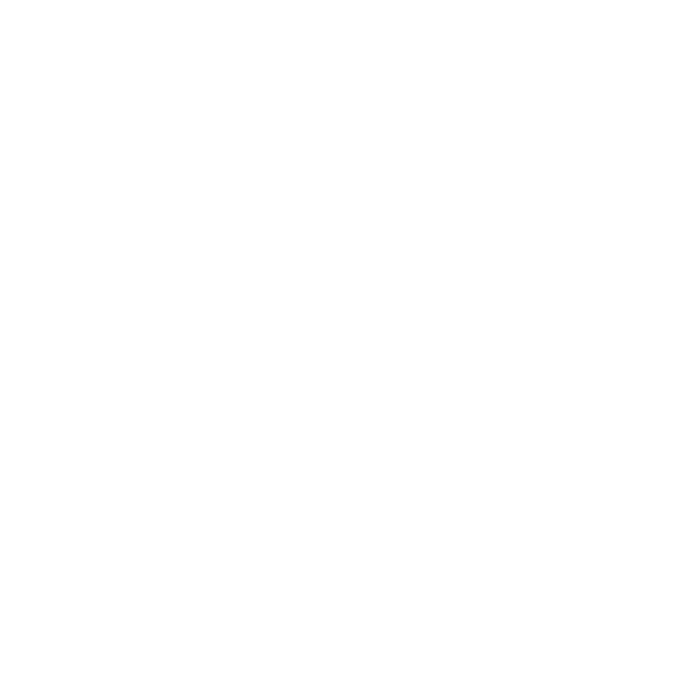 Liesl Shurtliff